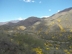 Images of the Andes
