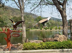 Chainat bird park