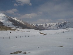 The border fence...it goes about 100 metres