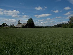Latvian countyside