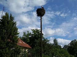 Storks nests, we saw many through the Baltic countries