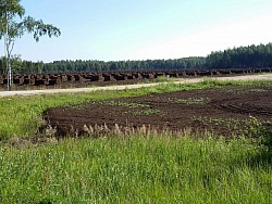 Peat fields in Latvia