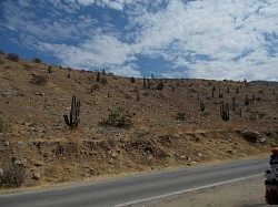 Stark landscape