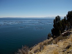 Fish farms on Lake Titicaca