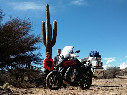 Coming out of the Andes, huge cactus plants in the north west of Argentina