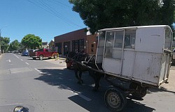 and the occasional horse drawn vehicle